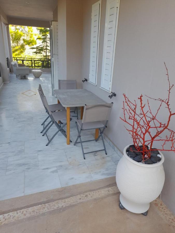 Suite With Garden Ajía Marína Kültér fotó